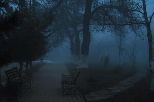 foggy mystic alley with bench in park with fog mist in the morning in autumn photo