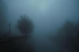 foggy landscape with a river and trees on an alley in the city on an autumn evening in fog mist photo