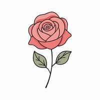 A rose is shown with a stem and leaves vector