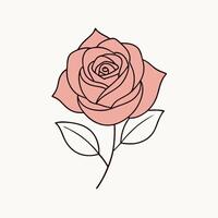 Rose flower line art illustration vector
