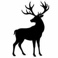 A silhouette of a deer standing on a white background vector