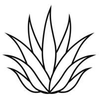 An outline of an aloe plant vector