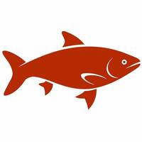 A red fish on a white background vector