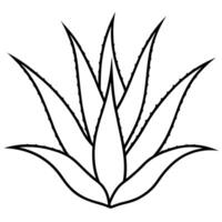 Aloe vera coloring pages vector