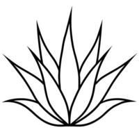 An outline of a plant with leaves vector