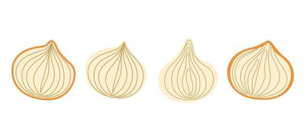 set of cutted onions in different forms, great for restaurant branding or food illustration vector
