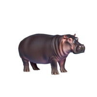 Hippopotamus walking forward with bulky body isolated on transparent background png
