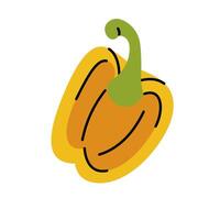 Half yellow bell pepper with seeds and stem, hand drawn doodle style vector