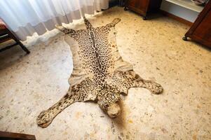 The skin of a dead leopard lay on the floor photo