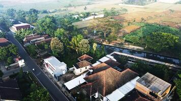 Drone View of a Village Next to Expansive Rice Fields photo