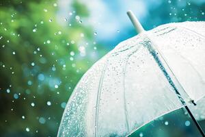 A clear umbrella with raindrops on it against a blurred background of green foliage and a blue sky. photo