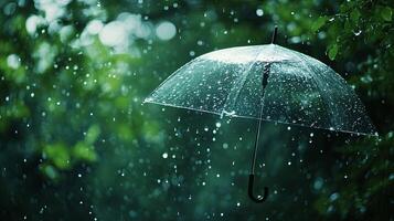 A clear umbrella hangs in the rain, with blurred green foliage in the background. photo