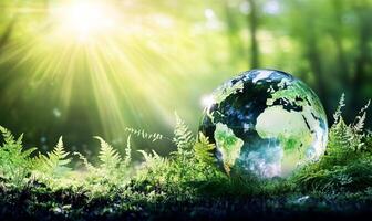 A glass globe of the Earth sits in a lush forest setting with a bright sun shining through the trees. photo