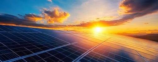 A vast field of solar panels captures the setting sun's rays, showcasing the power of renewable energy. photo
