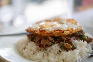 Spicy basil stir fry with pork, topped with a crispy fried egg photo