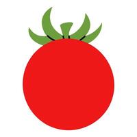 Simple drawing of whole tomato in hand drawn minimalistic style vector