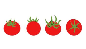 Hand drawn red tomato set. Simple drawing of whole tomatoes vector