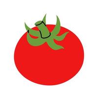 Colorful hand drawn illustration of a red tomato, ideal for recipe book and menu vector