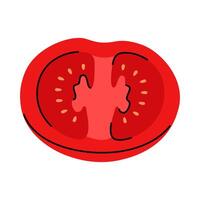 Red tomato half with visible seeds in a simple flat style vector
