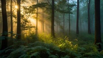 A stunning photo of a serene forest scene, with sunlight filtering through the branches of an ancient tree, casting a warm golden glow on the lush greenery and wildflowers below.