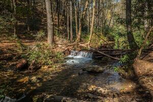 Creek with a waterfall photo