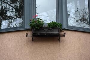 a window with a flower box on it photo