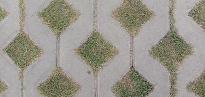 paving block and grass background photo