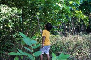 a boy is picking fruit photo