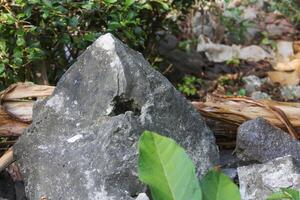 sharp limestone with holes photo