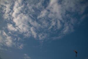 white clouds in the sky photo