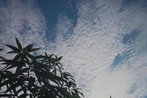 white clouds in the sky photo