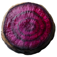 Beetroot slice , top view, flat lay design, isolated on transparent background. Fresh red beet slice with vibrant color and natural texture, perfect for food presentation and healthy recipes png