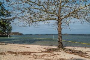 Beach and swim area at the lake photo