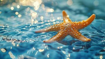 a starfish in the water with bubbles of water around it photo