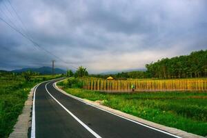 Beautiful morning view indonesia. Panorama Landscape paddy fields with beauty color and sky natural light photo