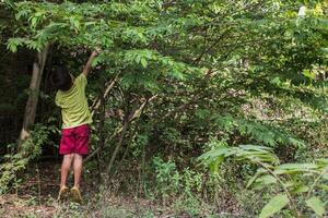 a boy is picking fruit photo
