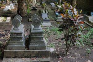 grave markers in public cemeteries photo