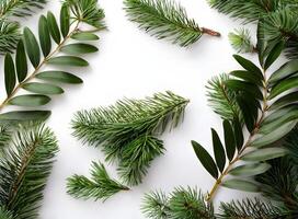 Lush thuja leaves and twigs form a retro-inspired natural setting ideal for serving as a blank space for text or images photo
