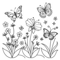 simple outline of butterfly on flowers vector