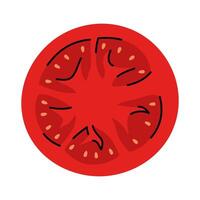 Detailed cut of red tomato. Hand drawn tomato slice with seeds vector