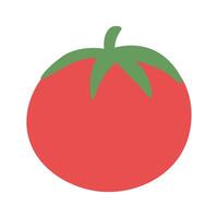 Colorful hand drawn illustration of a red tomato, ideal for recipe book and menu vector