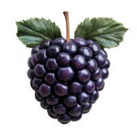 Blackberry , flat lay, top view, isolated on transparent background. Fresh blackberries arranged naturally, showcasing vibrant black color and detailed texture. Perfect for food presentations png