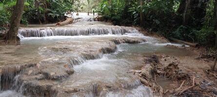 Scenic waterfall streaming through lush forest, cascading over rocky ledges in a tranquil natural setting. photo