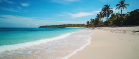 A turquoise sea lapping against white sandy beach, palm trees swaying, bright blue sky photo