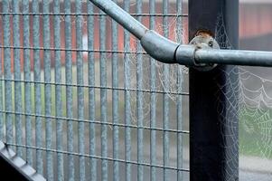a spider web is hanging from the metal fence photo
