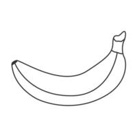 Simple drawing of whole banana icon in peel. Doodle style outlined fruit vector