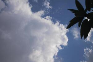 white clouds in the sky photo