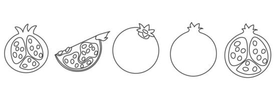 Set of pomegranate whole, half, cut, slice with seed details in a simple contour design vector