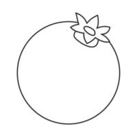 illustration of a pomegranate, featuring clean outline and minimalist design vector