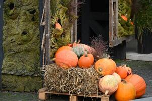 pumpkins and other fall decorations are displayed outside a building photo